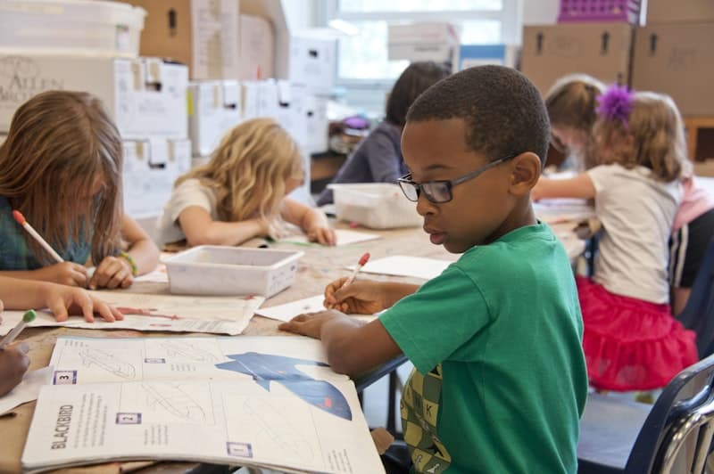 Primary School Support