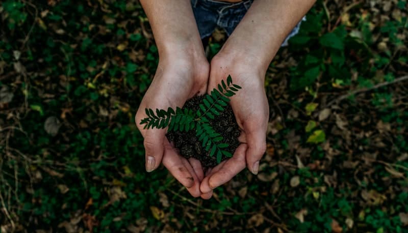 Community conservation