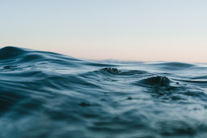 Marine ecosystem
